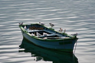 One of the most wonderful areas in Spain is Galicia