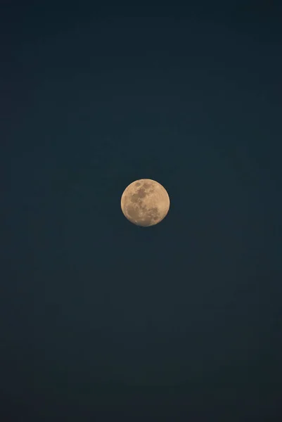在浪漫的夕阳西下 几乎满月映衬着深蓝色的天空 — 图库照片