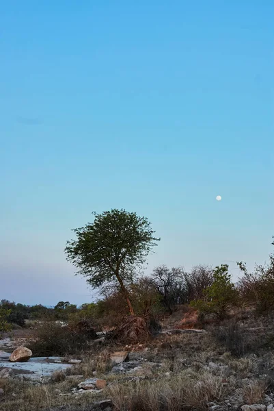 Romantyczny Suchy Suchy Afrykański Krajobraz Ostrych Krawędzi Piaskowcowych Skał Złotym — Zdjęcie stockowe