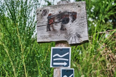 Tahta levhada Avrupa bizonu Wisent 'in sembolü Bos bonasus yazıyor.