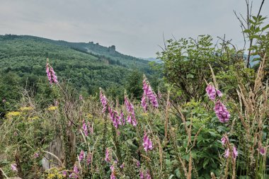 Bruchhauser Steine, Almanya 'da Sauerland eyaletinde yer alan Rothaarsteig kentinde yer alan bir şehirdir.