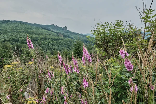 Bruchhauser Steine, Almanya 'da Sauerland eyaletinde yer alan Rothaarsteig kentinde yer alan bir şehirdir.