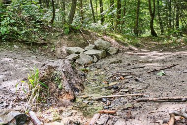 Nehir ruhunun kaynağı Rothaarsteig yürüyüş yolu boyunca ormandaki küçük kayalık bir pınarda.
