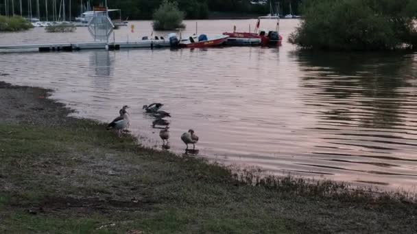 Puesta Sol Lago Edertalsperre Una Presa Hidroeléctrica Alemania Que Proporciona — Vídeo de stock