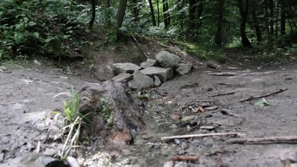 Витоки Річки Рур Вздовж Ротаарштайга Йдуть Стежці Біля Невеликої Скелястої — стокове відео