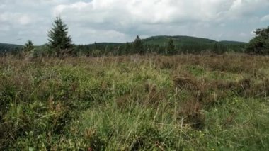 Hoppecke Quelle, Almanya 'nın Sauerland eyaletinde yer alan bir şehirdir.