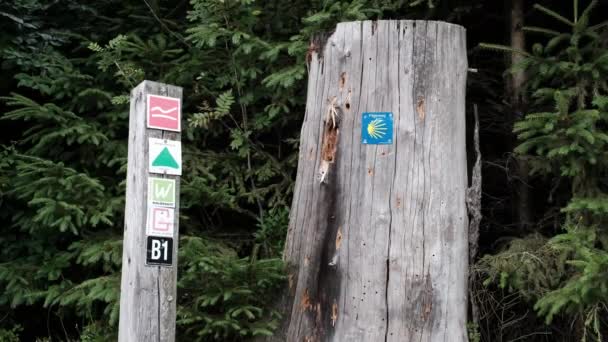 罗斯哈斯特格远足小径沿线的路标 在古老的木头和树上撒下了不同的标记 — 图库视频影像