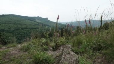 Bruchhauser Steine, Almanya 'da Sauerland eyaletinde yer alan Rothaarsteig kentinde yer alan bir şehirdir.