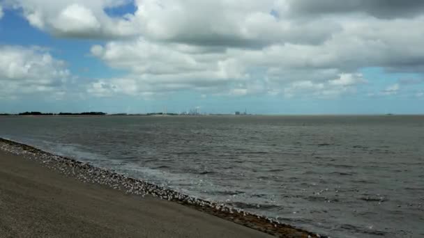 Wind Turbines Power Plant Standing Dike Industrial Complex Netherlands River — Αρχείο Βίντεο