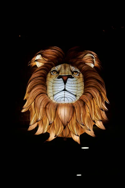 Osabrueck Germany 2020 Illuminated Sculpture Zoo Lights Osnabrueck Showing Lion —  Fotos de Stock