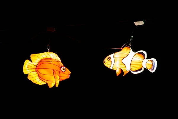Osabrueck Germany 2020 Illuminated Sculpture Zoo Lights Osnabrueck Showing Colorful — ストック写真