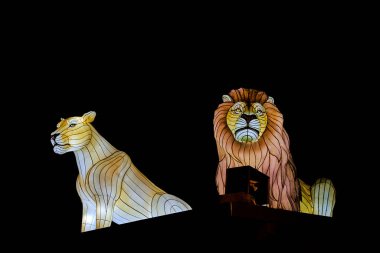 Osabrueck, Germany - 09 19 2020: Illuminated Sculpture at zoo lights Osnabrueck showing lions