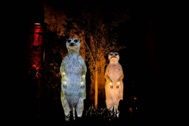 Osabrueck, Germany - 09 19 2020: Illuminated Sculpture at zoo lights Osnabrueck showing meerkats, Suricata suricatta