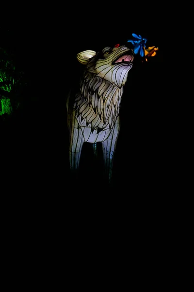 Osabrueck Germany 2020 Illuminated Sculpture Zoo Lights Osnabrueck Showing Wolf — Stock fotografie