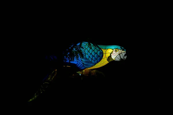 Osabrueck Germany 2020 Illuminated Sculpture Zoo Lights Osnabrueck Showing Blue — Stok fotoğraf