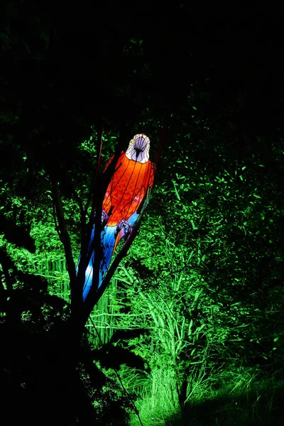 Osabrueck Germany 2020 Illuminated Sculpture Zoo Lights Osnabrueck Showing Red — Stok fotoğraf
