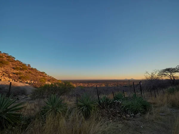 clear blue sky over the arid landscape of Namibia at sunset