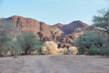 Kuru Ugab, Damaraland Namibya 'nın kurak bölgesinde geçici bir nehirdir.
