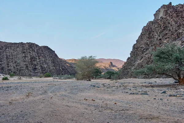 Kuru Ugab Damaraland Namibya Nın Kurak Bölgesinde Geçici Bir Nehirdir — Stok fotoğraf