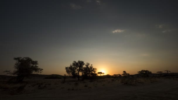 Dramatischer Sonnenuntergang Mit Wolken Himmel Über Dem Afrikanischen Busch Namibia — Stockvideo