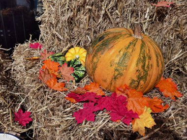 Saman ve balkabağı ile Cadılar Bayramı süslemesi