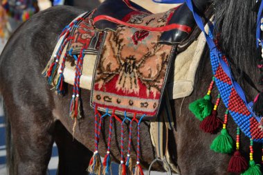 Anatolia horses decorate according to local culture
