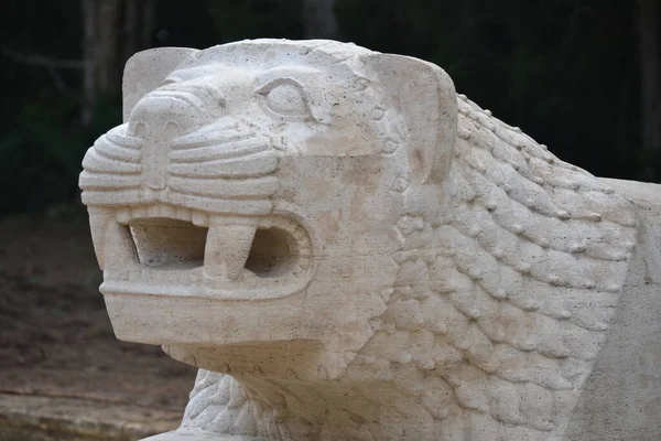 Lions Ankara Lions Way Anitkabir — Stockfoto