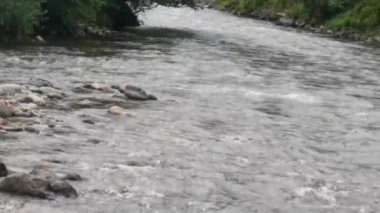 Türkiye 'nin Trabzon Karadeniz bölgesinde nehir