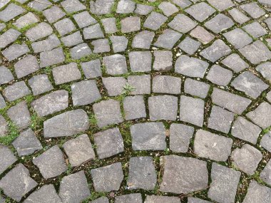 Yeşil alanları kabuk gibi olan parke taşları.