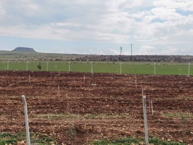 Gaziantep ve Birecik yolu, ekili tarlalar