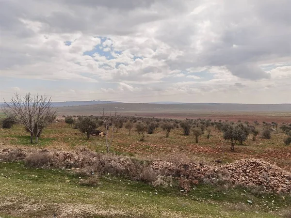 Road Gaziantep Birecik Cultivated Fields — Stock Photo, Image