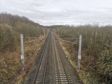 Demiryolu terası ormandan geçiyor.