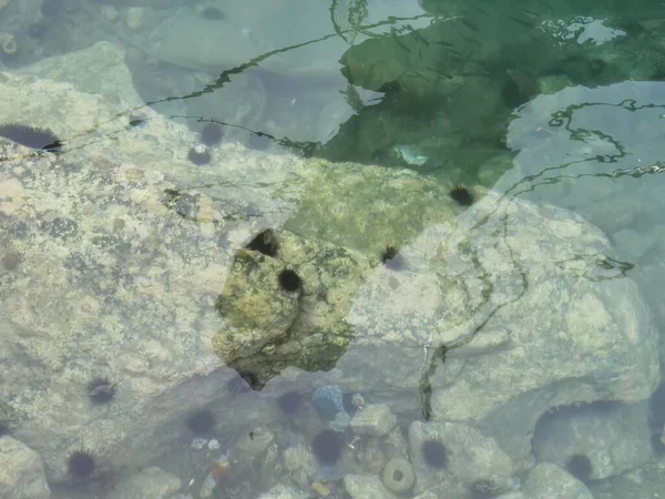 Rocks Underwater Shallow Water — ストック写真