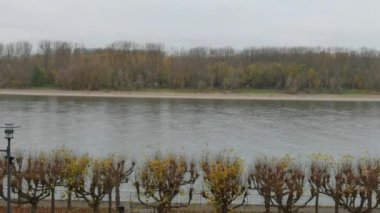 Köln yakınlarında Ren nehri manzarası