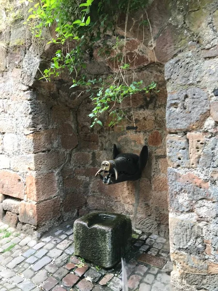 Parque Uma Fonte Com Cabeça Porco — Fotografia de Stock