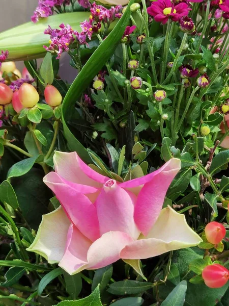 Ein Rosa Mit Vielen Anderen Blüten Grün — Stockfoto