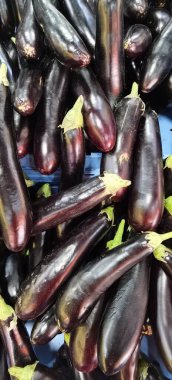 Sepette bir sürü patlıcan