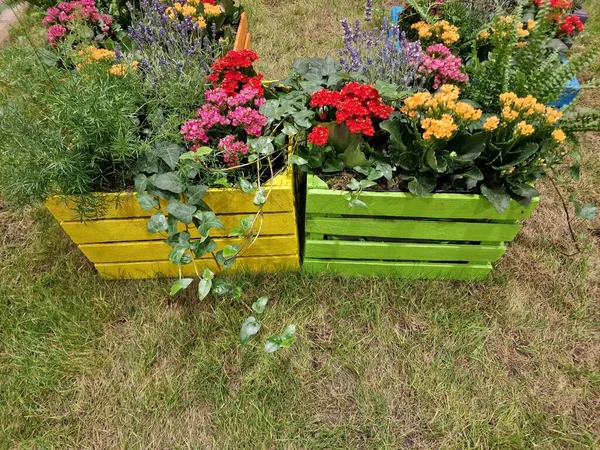 Δύο Ξύλινα Κουτιά Κίτρινο Και Πράσινο Διαφορετικά Λουλούδια — Φωτογραφία Αρχείου