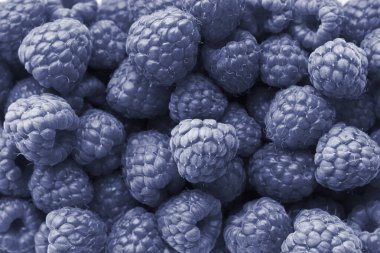 Ahududu arkaplanı. Yıl Rengi 2022 konsepti.