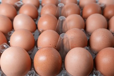 Plastik ambalajda tavuk yumurtası. Yakın plan. Tavuk çiftliği ürünleri ve yumurta paketleme. Yumuşak odak.