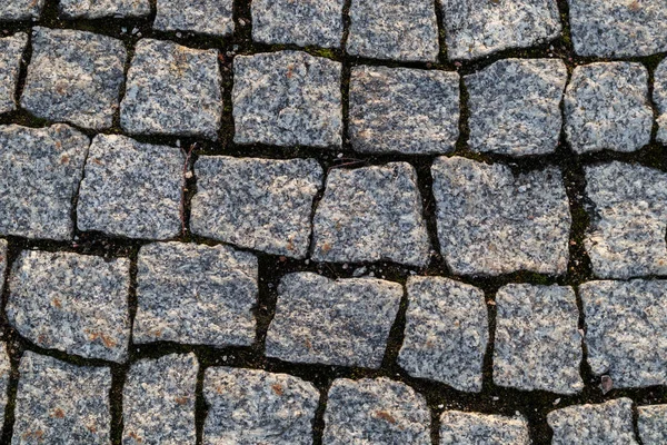 Kopfsteinpflaster Hintergrund Vom Bürgersteig Aus Kleinen Steinen — Stockfoto