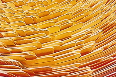 Soyut sarı ve turuncu çizilmiş arka plan. Büyük bir kağıt yığınının tasviri.