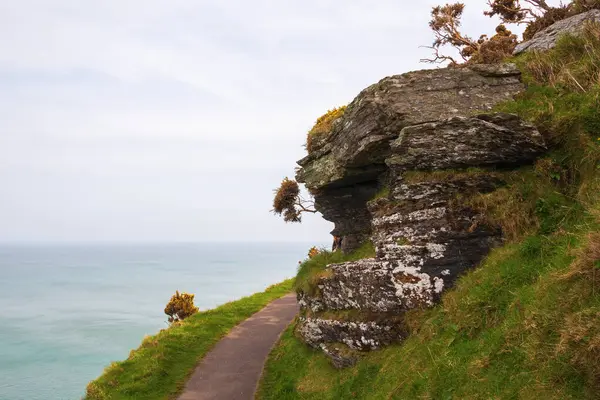 Okyanus manzaralı yüksek dağlarda yürüyüş yapmak. Temiz havada yürür, açık havada eğlenir..