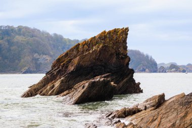 Okyanus kıyısındaki büyük renkli uçurumların manzarası. Rocky sahili.