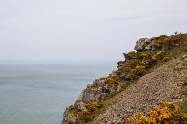 Okyanusun görülebileceği kayalık bir uçurum. Bulutlu hava.