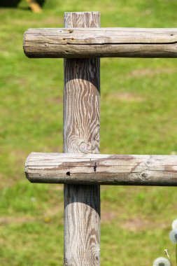 Ahşap çitler yakın plan, bulanık yeşil arka planda çiftlik çitleri..