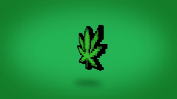 Folha Cannabis Pixel Rotativo Único 30Fps Com Canal Alfa — Vídeo de Stock