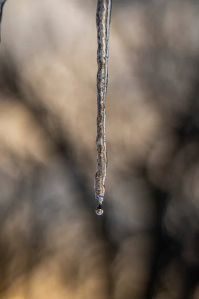 Water Druipt Van Een Ijspegel — Stockfoto