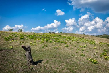 Bir gelin ve bir damat elleri