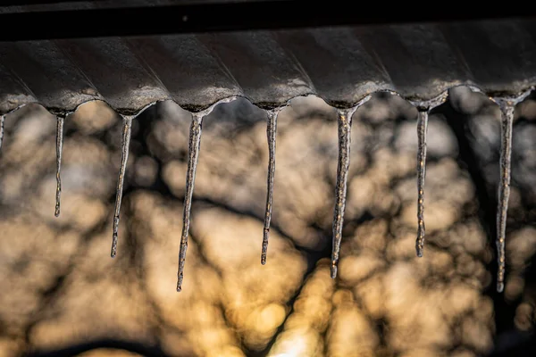 Evin Çatısında Buz Saçakları Var — Stok fotoğraf